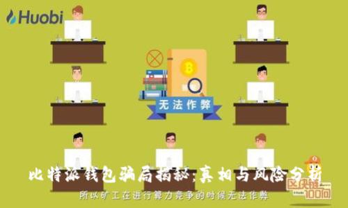 比特派钱包骗局揭秘：真相与风险分析