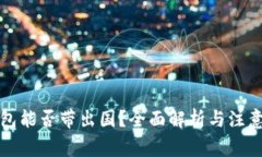 冷钱包能否带出国？全面解析与注意事项