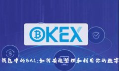 波宝钱包中的BAL：如何有效管理和利用你的数字