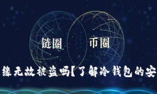 冷钱包会无缘无故被盗吗？了解冷钱包的安全性与风险