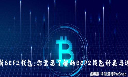 全面解析BEP2钱包：你需要了解的BEP2钱包种类与选择指南